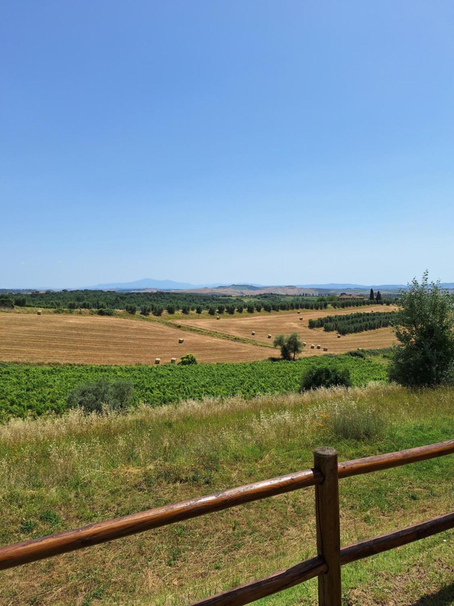 Bed and Breakfast Casa Paola Nel Chianti Кастельнуово-Берарденга Экстерьер фото